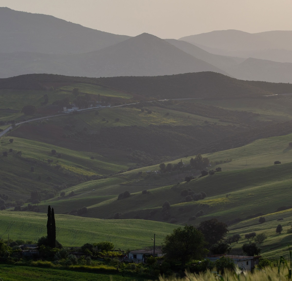 Leia mais sobre o artigo Paisagens rurais em transformação: caminhos sistêmicos para enfrentar as mudanças climáticas