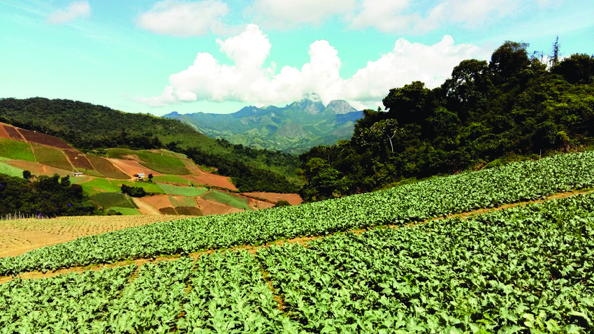 Leia mais sobre o artigo Agroecologia e desenvolvimento territorial sustentável em Nova Friburgo e Mendoza