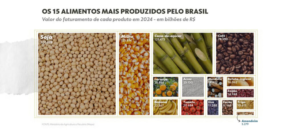 4 15 alimentos mais produzidos