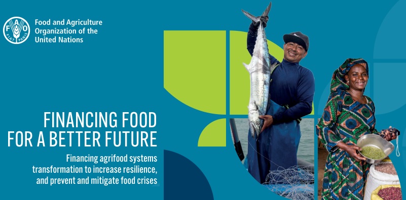 Leia mais sobre o artigo Por que transformar os sistemas alimentares exige mais e melhor financiamento