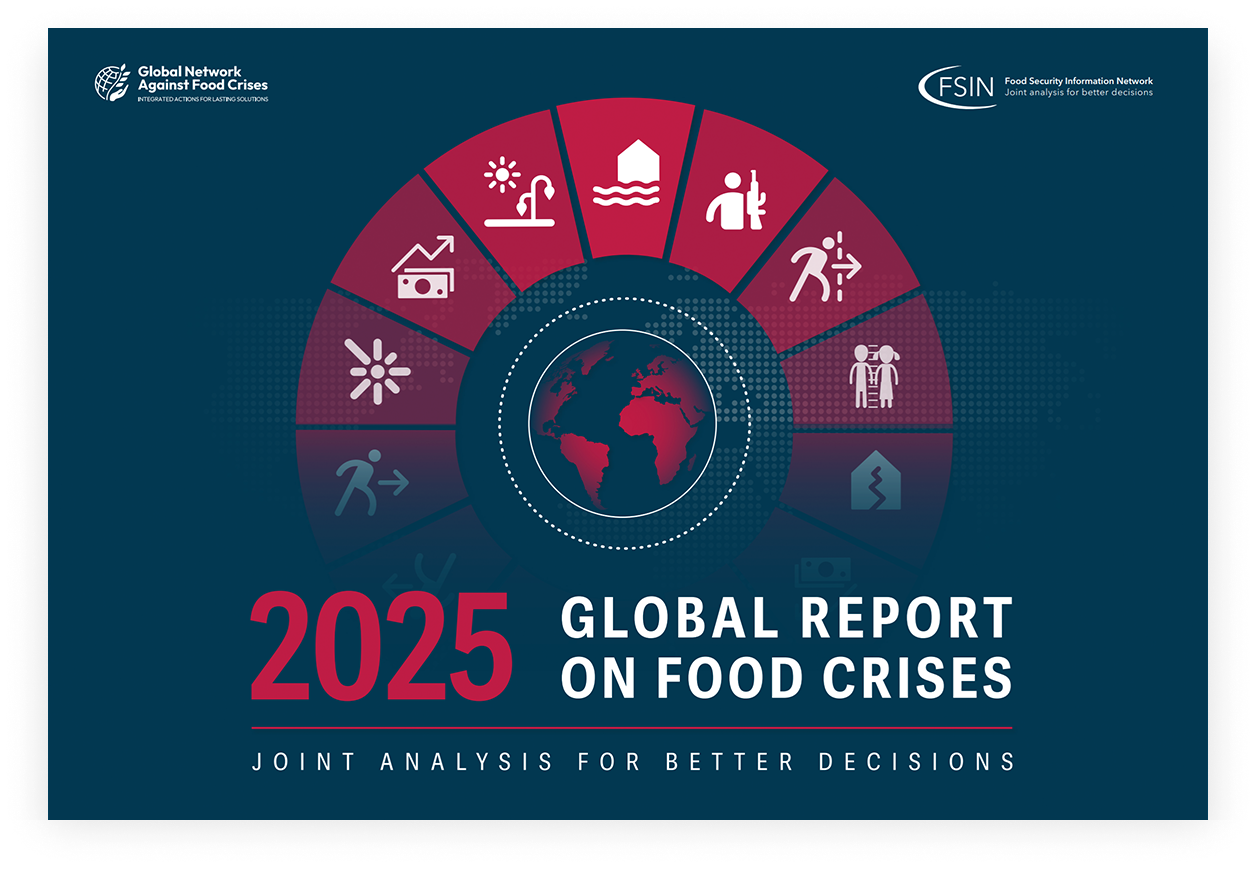 Leia mais sobre o artigo Global Report on Food Crises 2025