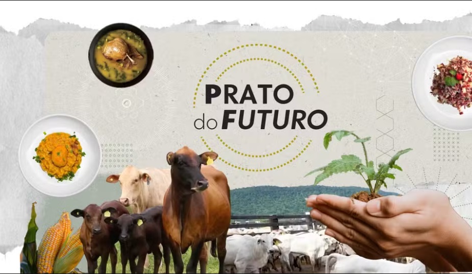 Leia mais sobre o artigo Por que a fome persiste no Brasil mesmo com tanto alimento disponível?