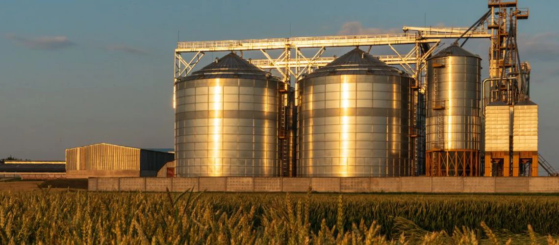 Leia mais sobre o artigo Aproveitamento das reservas estratégicas de grãos para aumentar a segurança alimentar