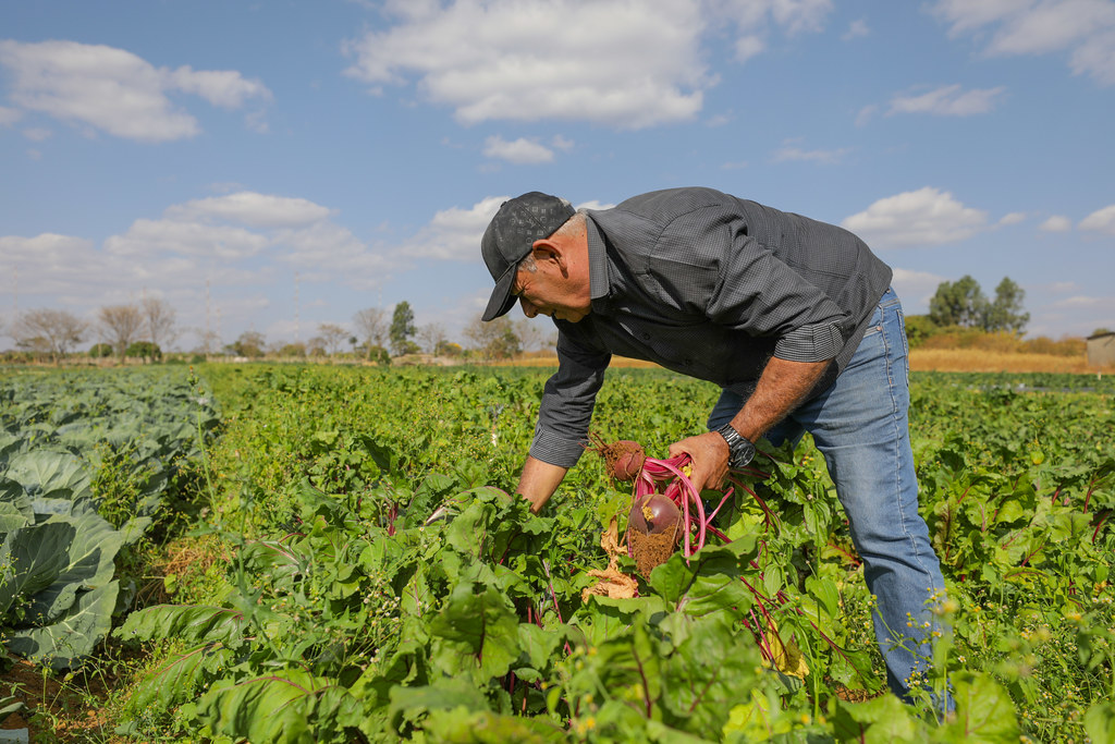 Leia mais sobre o artigo A importância estratégica da Agricultura Familiar para alimentar o mundo e preservar o planeta