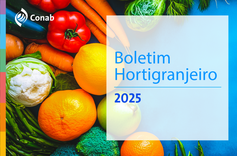 Leia mais sobre o artigo Maioria das frutas mais comercializadas no atacado registram queda de preços