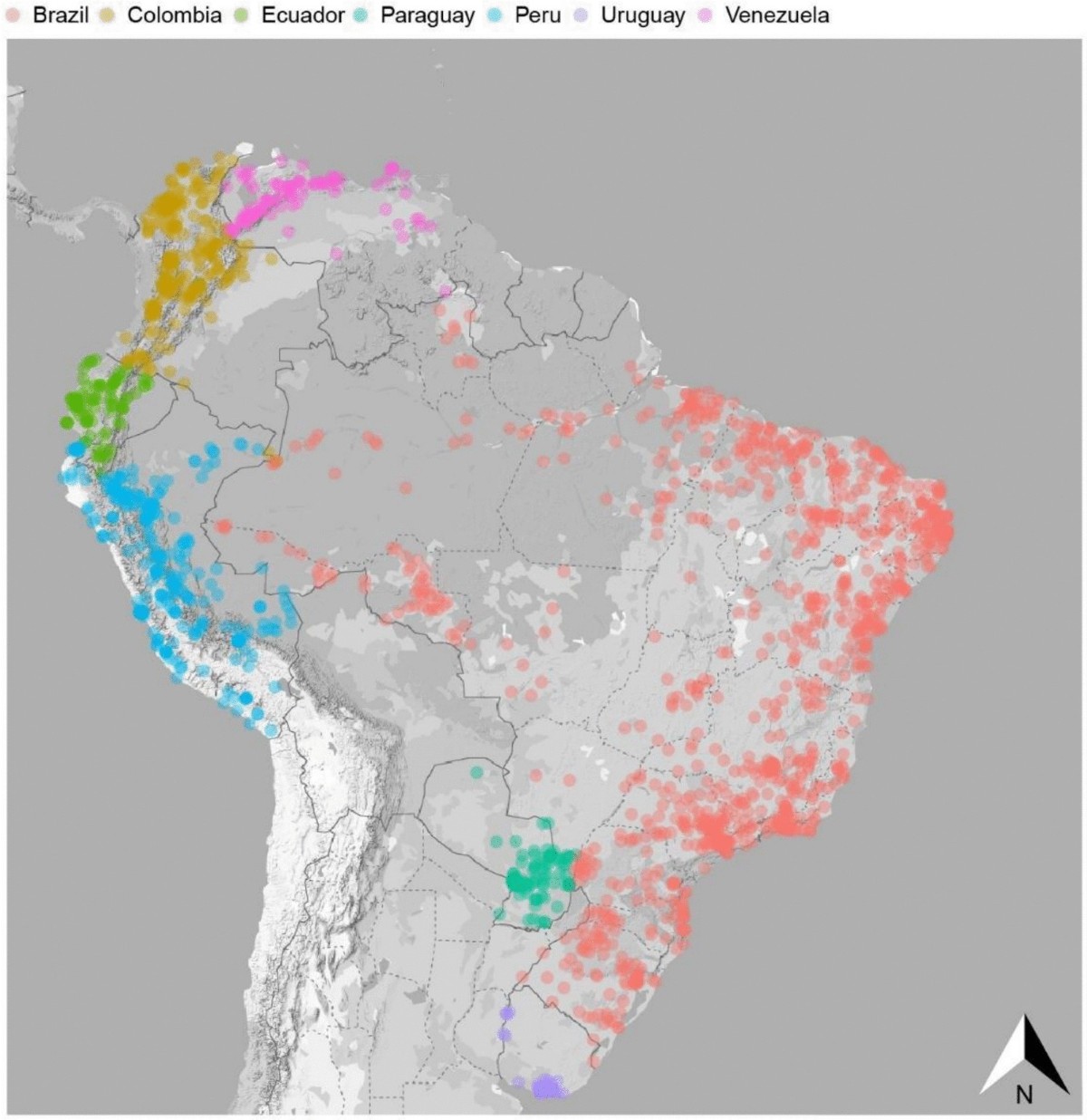 Leia mais sobre o artigo Pandemia de COVID-19 exacerbou a insegurança alimentar em países da América do Sul