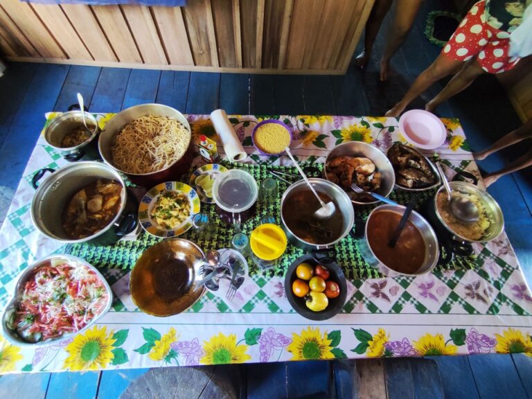 Leia mais sobre o artigo Transição alimentar na Amazônia brasileira: pesquisa investiga fatores responsáveis pela mudança nos hábitos alimentares em comunidades ribeirinhas