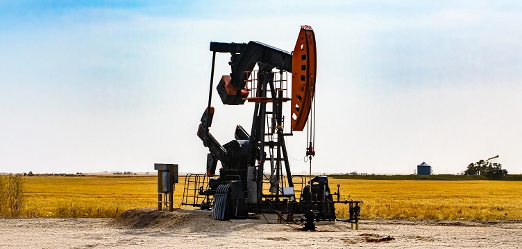 Leia mais sobre o artigo Do combustível ao garfo