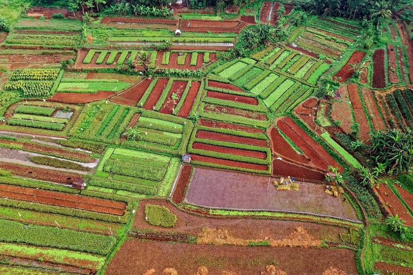 Leia mais sobre o artigo Quais são as perspectivas para a reforma agrária?