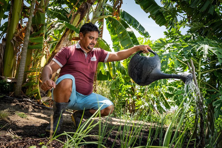 Leia mais sobre o artigo A transformação dos sistemas alimentares é uma escolha política que demanda coragem e solidariedade”, destaca Lilian Rahal