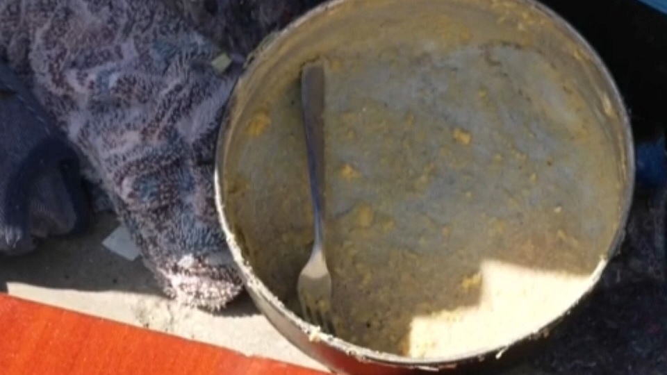 Leia mais sobre o artigo José Graziano: geração de emprego e aumento do salário mínimo tiraram o Brasil do Mapa da Fome