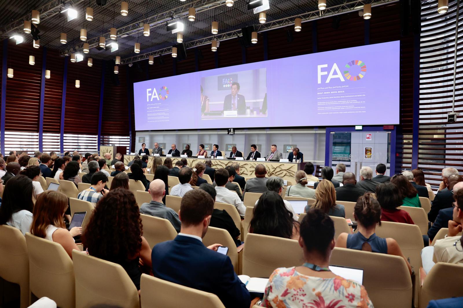 Leia mais sobre o artigo FAO launches groundbreaking financing facility to help prevent food crises before they escalate