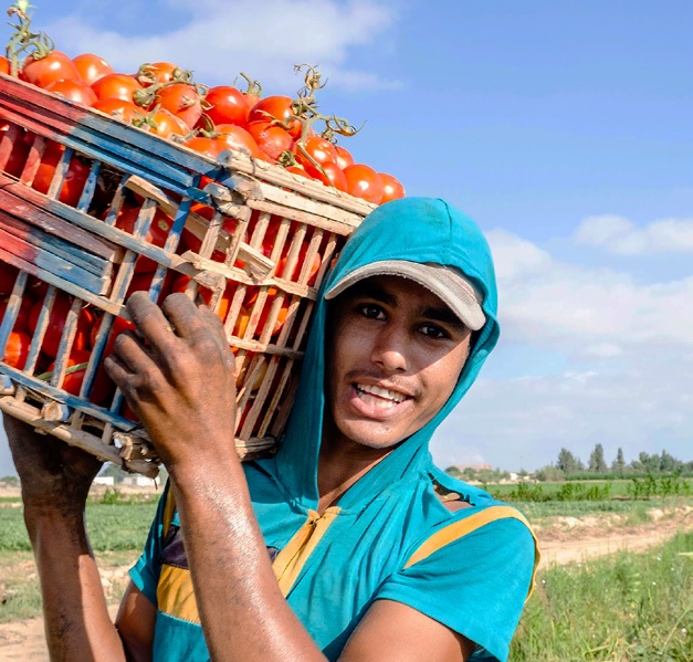 Leia mais sobre o artigo Jovens nos Sistemas Alimentares: o que revela o novo relatório da FAO