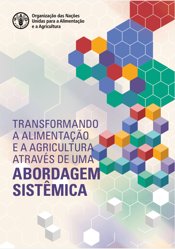 Transformando a Alimentação e a Agricultura através de uma abordagem sistêmica IMAGE