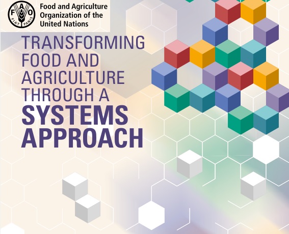 Leia mais sobre o artigo Transformar os sistemas agroalimentares exige decisões diferentes