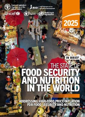 The State of Food Security and Nutrition in the World 2025 In Brief