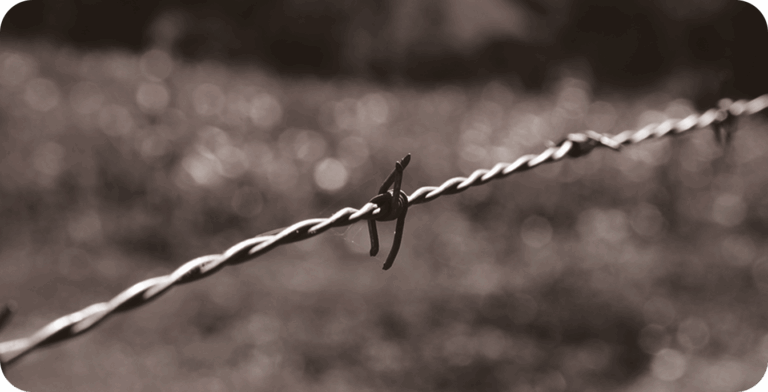 Leia mais sobre o artigo Reforma agrária de mercado, promessa de terra e herança de dívida