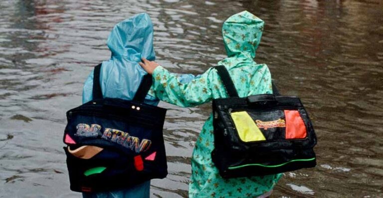 Leia mais sobre o artigo Proteção Social Adaptativa segundo o Banco Mundial: construindo resiliência diante dos choques