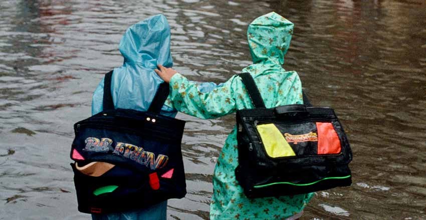 Leia mais sobre o artigo Proteção Social Adaptativa segundo o Banco Mundial: construindo resiliência diante dos choques