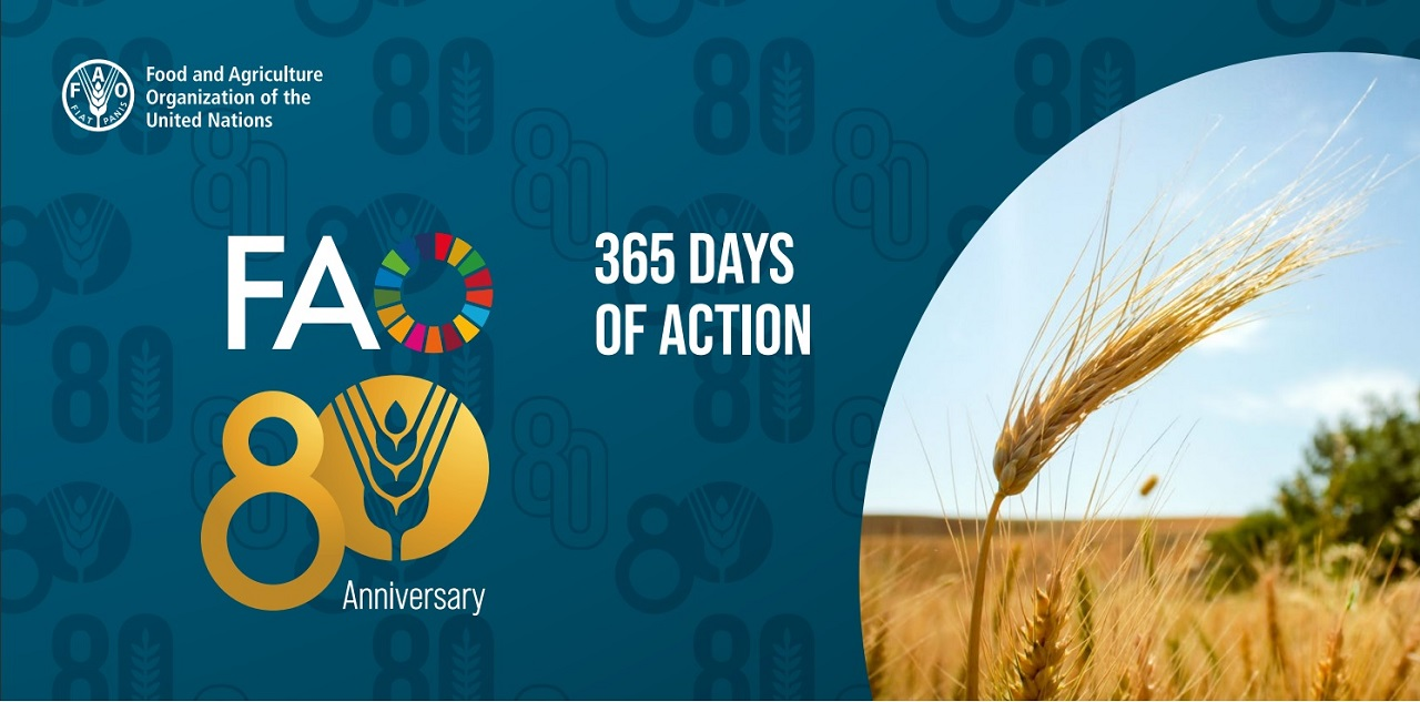 FAO Board of Champions 2025