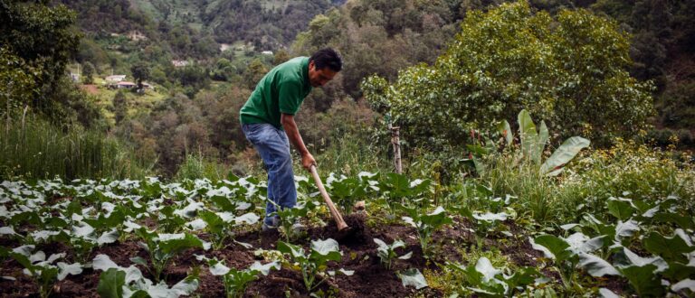 Leia mais sobre o artigo Proteção Social Adaptativa e ação antecipatória: a visão da FAO e suas conexões globais