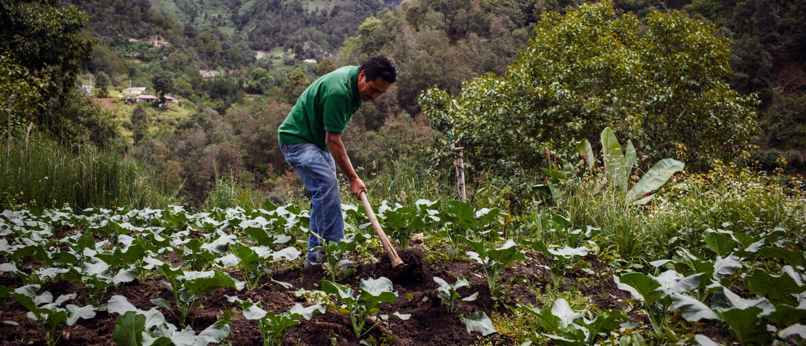Leia mais sobre o artigo Proteção Social Adaptativa e ação antecipatória: a visão da FAO e suas conexões globais