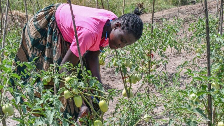 Leia mais sobre o artigo Como barreiras ocultas excluem grupos marginalizados da criação e do compartilhamento de conhecimento, essenciais para a adaptação climática
