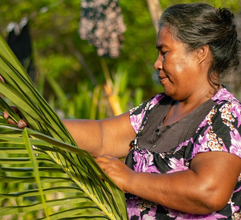 Leia mais sobre o artigo Ação Antecipatória e Proteção Social na Construção de Sistemas Alimentares Resilientes