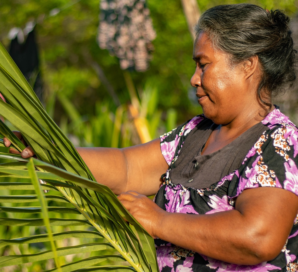 Leia mais sobre o artigo Ação Antecipatória e Proteção Social na Construção de Sistemas Alimentares Resilientes