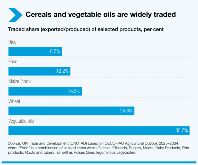 Leia mais sobre o artigo UNCTAD: Comércio pode ser arma decisiva contra a fome global