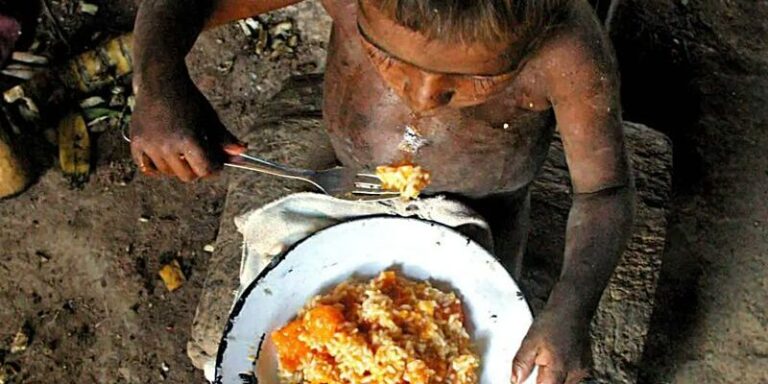 Leia mais sobre o artigo Insegurança Alimentar no Brasil e na Amazônia Legal: o que mudou entre 2023 e 2024