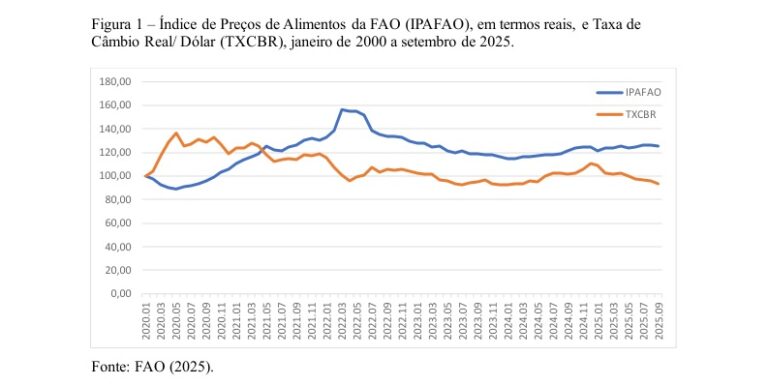 Leia mais sobre o artigo Condições Externas e Inflação de Alimentos no Brasil