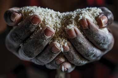 Leia mais sobre o artigo Olhares Cruzados pela Terra: MST 40 anos alimentando o Brasil