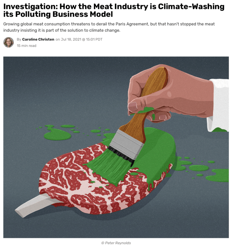 DeSmog-Climate-Washing-by-Meat-Industry-768x817