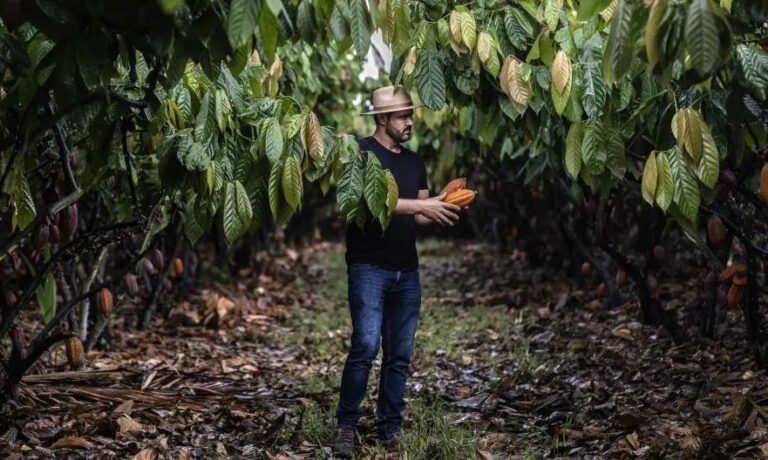 Leia mais sobre o artigo O que os agricultores brasileiros podem ensinar ao mundo sobre ação climática