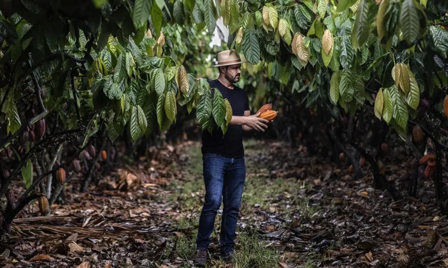 Leia mais sobre o artigo O que os agricultores brasileiros podem ensinar ao mundo sobre ação climática