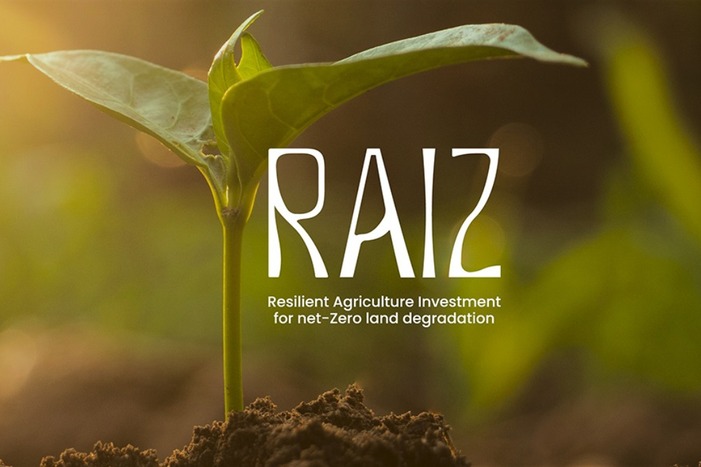 Leia mais sobre o artigo Brasil lança iniciativa global para recuperação de áreas degradadas durante a COP30