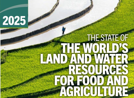 Leia mais sobre o artigo FAO alerta: pressão crescente sobre terra, solo e água ameaça produção de alimentos