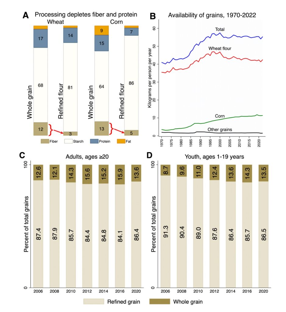 Figura 3 – Disponibilidade anual de grãos por pessoa (em quilogramas) [B] e consumo de grãos refinados e integrais por adultos e crianças no século XXI [C e D], extraído do relatório.