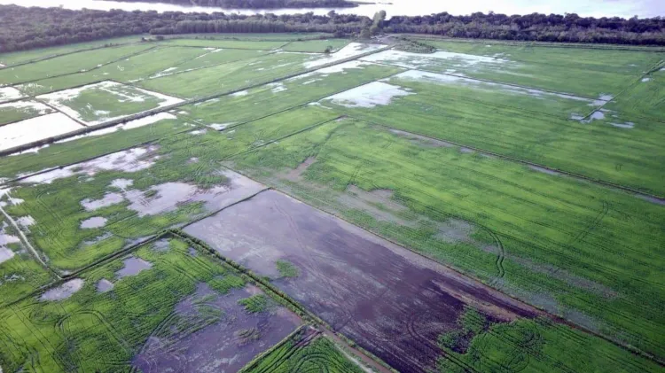 Leia mais sobre o artigo Qual o custo da crise climática para o bolso do brasileiro?