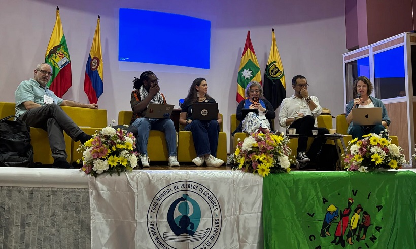 Ruth Hall on Panel at CIRADR+20