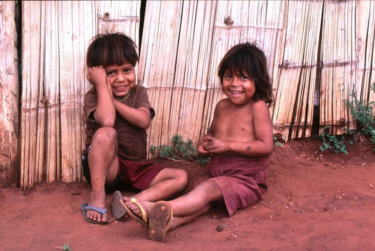 Leia mais sobre o artigo Instituto Fome Zero: Anticipatory Social Protection in Brazil