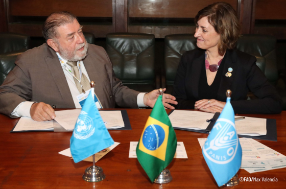 Leia mais sobre o artigo Brasil e FAO ampliam cooperação Sul-Sul para fortalecer segurança alimentar no Sul Global