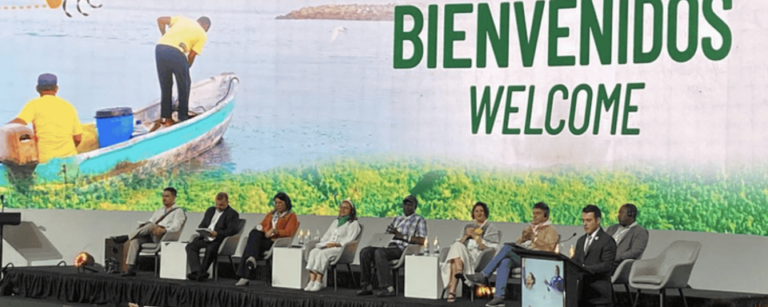 Leia mais sobre o artigo CIRADR+20: Desafios e atualizações do debate acerca da democratização do acesso à terra