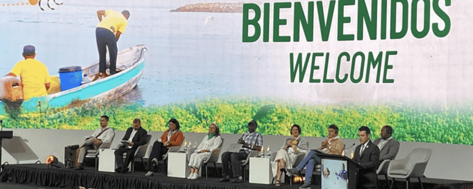 Leia mais sobre o artigo CIRADR+20: Desafios e atualizações do debate acerca da democratização do acesso à terra