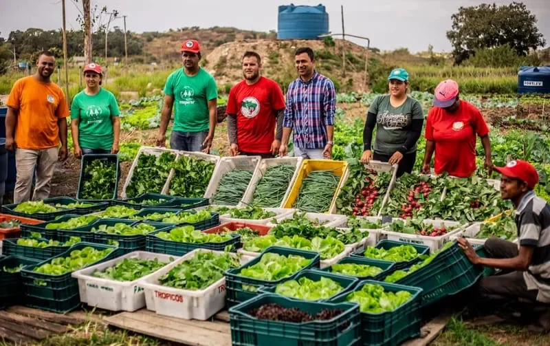 Leia mais sobre o artigo PNAE 2026: FNDE eleva para 45% compras da agricultura familiar