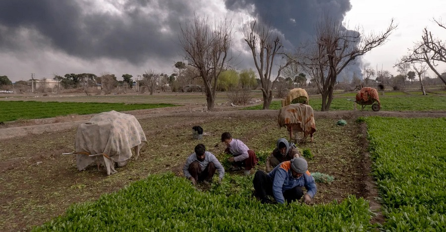 Leia mais sobre o artigo A próxima crise alimentar global já começou