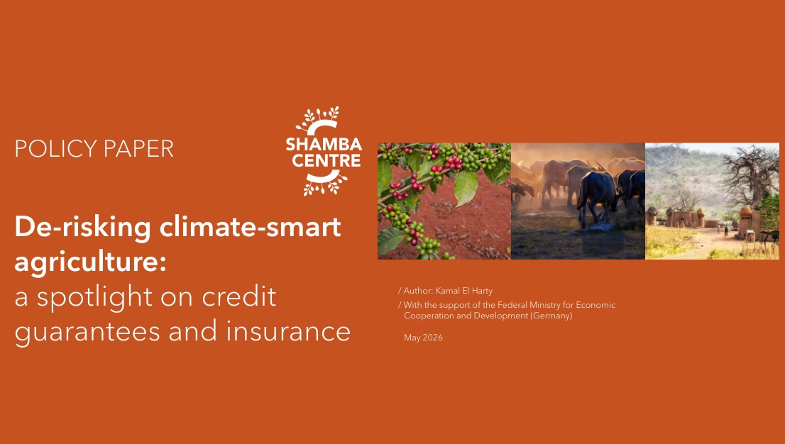 Leia mais sobre o artigo Destravando o financiamento climático para a agricultura inteligente: garantias de crédito e seguros ganham protagonismo