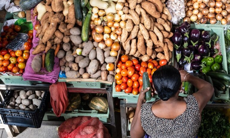 Leia mais sobre o artigo Políticas fiscais podem redesenhar o sistema alimentar global, afirma estudo da Universidade da Carolina do Norte