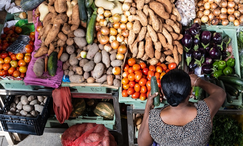 Leia mais sobre o artigo Políticas fiscais podem redesenhar o sistema alimentar global, afirma estudo da Universidade da Carolina do Norte